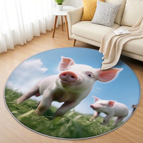 AevuCub Schwein Teppich Rund 120cm Kurzflor - Waschbare Teppiche Wohnzimmer Lustige Bauernhoftiere - Runder Teppich 120 Durchmesser Kinderzimmer - Bettvorleger Schlafzimmer rutschfest Weich von AevuCub