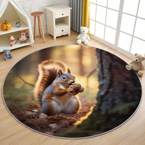 AevuCub Squirrel Teppich Rund 120cm Kurzflor - Waschbare Teppiche Wohnzimmer Eichhörnchen Motiv - Runder Teppich 120 Durchmesser Kinderzimmer - Bettvorleger Schlafzimmer rutschfest Weich von AevuCub