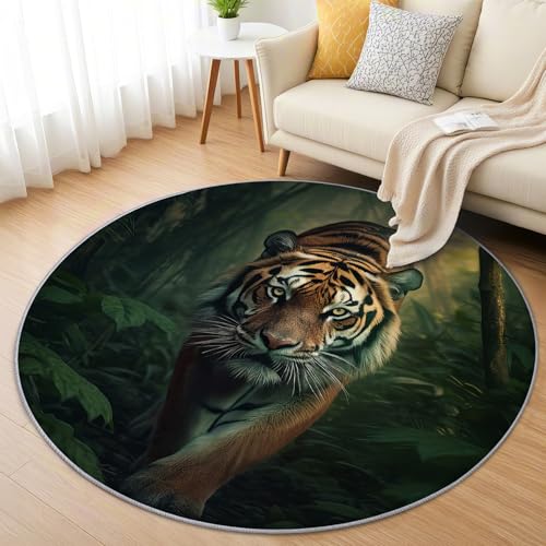 AevuCub Tiger Teppich Rund 120cm Kurzflor - Waschbare Teppiche Wohnzimmer Wilde Tiere - Runder Teppich 120 Durchmesser Kinderzimmer - Bettvorleger Schlafzimmer rutschfest Weich AevuCub Tiger Teppich Rund 120cm Kurzflor - Waschbare Teppiche Wohnzimmer Wilde Tiere - Runder Teppich 120 Durchmesser Kinderzimmer - Bettvorleger Schlafzimmer rutschfest Weich von AevuCub
