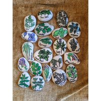 Kräutergartensteine Individuelle Pflanzenmarkierer von AffinityStones