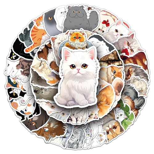 Persian Cat Aufkleber für Laptop (50PCS),Geschenk für Kinder Jugendliche Erwachsene Jungen,Persische Katze Wasserdicht Vinyl Aufkleber Stickers für Scrapbook,Skateboard,Auto,Gepäck von Affoto