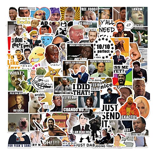 TV Meme Aufkleber für Laptop(100 PCS),Geschenk für Kinder Teens Erwachsene Jungen,Wasserdichte Interessant Meme Aufkleber für Wasserflaschen,Vinyl Stickers für Scrapbook,Skateboard,Auto von Affoto