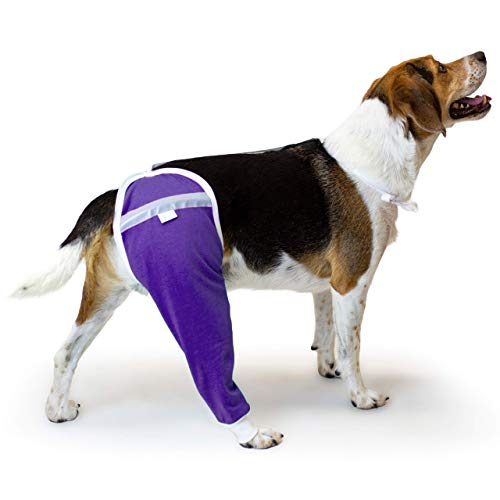 After Operation Wear Hip and Oberschenkel Wundschutz Sleeve für Hunde Hunde-Regenerations-Ärmel Von Tierärzten weltweit empfohlen, Large`, violett von After Surgery Wear