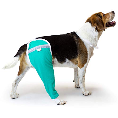 After Surgery Wear Hüft- und Oberschenkel-Schutzhülle für Hunde, Genesungsmanschette für Hunde Von Tierärzten weltweit empfohlen (klein, blaugrün) von After Surgery Wear