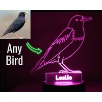 Personalisierter Vogel, Pentakelvogel, Acrylvogel, Vogelspielchen, Tier Nachtlicht, Kinder Nachtlicht, Erwachsene Klarglas Vogel von AfterNice