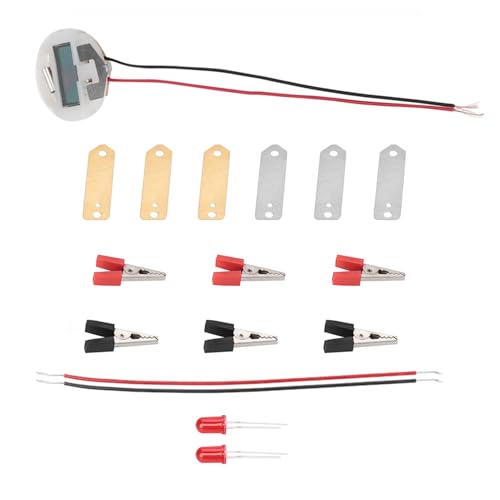 Agatige Fruit Battery Science Experiment Kit, Bio -Energy Science Set Battery Physik Unterricht Experiment Kartoffelstromspielzeug Elektromotor Kit für Kinder von Agatige