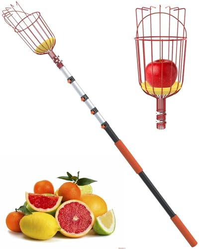 Obstpflückerstange mit Teleskopkorb, ausziehbarer Aluminium-Apfelpflücker zum Pflücken von Avocados, Feigen, Mangos, Zitrusfrüchten – langlebiger Obstfänger für Bäume Obstpflückerstange mit Teleskopkorb, ausziehbarer Aluminium-Apfelpflücker zum Pflücken von Avocados, Feigen, Mangos, Zitrusfrüchten – langlebiger Obstfänger für Bäume von AgiiMan