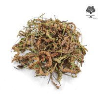 Getrocknete Rustyback Kraut 40G - 1.95Kg Asplenium Ceterach von AgoraMarketGR