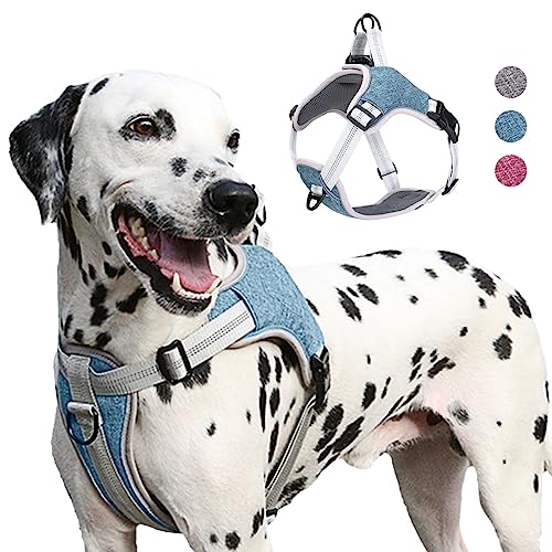 AgoumLux Hundegeschirr Kleine Hunde, Reflektierend Hunde Geschirr mit Gepolstert Verstellbare, Anti Zug Welpen Brustgeschirr für Große Mittel Kleine Hunde, Blau, S AgoumLux Hundegeschirr Kleine Hunde, Reflektierend Hunde Geschirr mit Gepolstert Verstellbare, Anti Zug Welpen Brustgeschirr für Große Mittel Kleine Hunde, Blau, S von AgoumLux