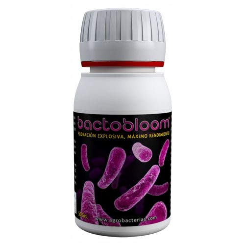 Pulver Zusatz Nährstoffe Mikrobakterien Blüte Agrobacterias BactoBloom (50g) von Agrobacterias