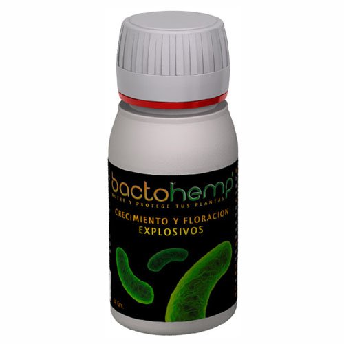 Zusatz Nährstoff Bacillus und Micorrizas Agrobacterias BactoHemp (50g) von Agrobacterias