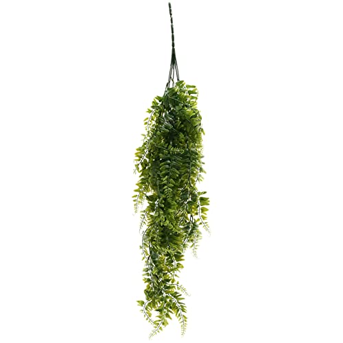 Agwuoetr 2 StüCk KüNstliche HäNgende Farne Pflanzen Vine GefäLschte Efeu Boston Fern HäNgepflanze Draussen UV BestäNdige Kunststoff Pflanzen Pflanze Agwuoetr 2 StüCk KüNstliche HäNgende Farne Pflanzen Vine GefäLschte Efeu Boston Fern HäNgepflanze Draussen UV BestäNdige Kunststoff Pflanzen Pflanze von Agwuoetr
