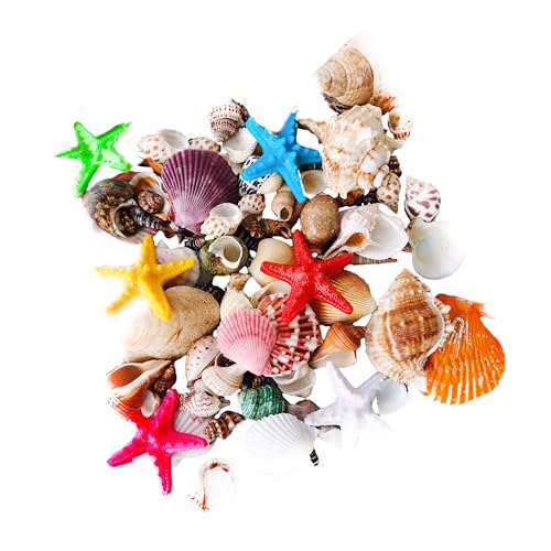 200g Scallop Shells for Crafts Muscheln zum Bemalen Seesterne Deko Muscheln Deko Vase Fillers Geeignet für Familienfeiern Hochzeitsdekorationen für DIY usw(Mischmodell mit Seestern) von AhLmA