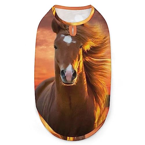 Golden Sunset Sundown Horse Lake Hunde-Shirts, Sommer-Haustier-T-Shirts, weiches, ärmelloses Tank-Top, Haustier-Kleidung für kleine Welpen und Katzen von Ahdyr