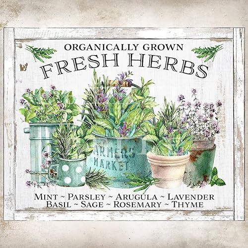 Blechschilder Bio Frische Kräutertöpfe Modernes Bauernhaus Kräuter Garten Schild Basilikum Lavendel Minze Salbei Origanum Rosmarin Petersilie Metallschild 20,3 x 15,2 cm von ahee