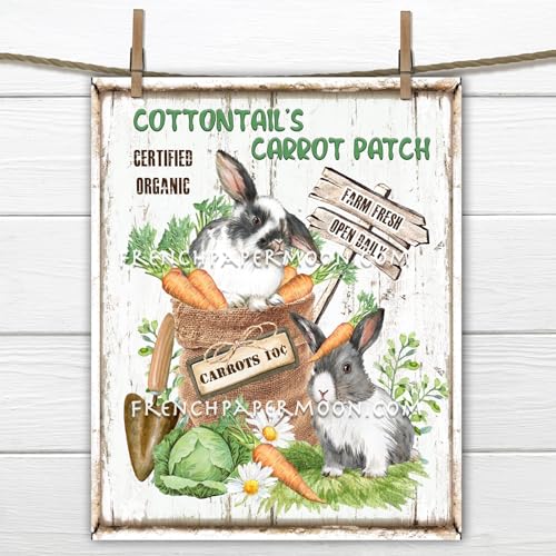 Blechschilder Osterhase Karotte Patch Baumwollschwanz Bauernhaus Osterschild Tasche mit Karotte Kaninchen Frühling Garten Metallschild 20,3 x 15,2 cm Blechschilder Osterhase Karotte Patch Baumwollschwanz Bauernhaus Osterschild Tasche mit Karotte Kaninchen Frühling Garten Metallschild 20,3 x 15,2 cm von Ahee