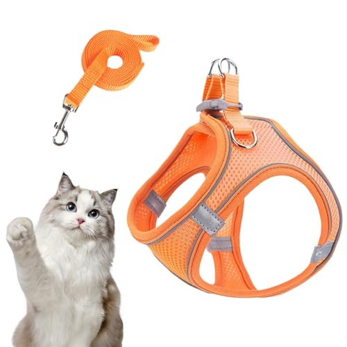 Ahuuen Katzengeschirr und Leinenset,Netzgeschirr und Hundleinen Kombi | Atmungsaktives Ausbruchsicheres Geschirr Für Hunde Katzen Wandern Camping Ausflüge Training Ahuuen Katzengeschirr und Leinenset,Netzgeschirr und Hundleinen Kombi | Atmungsaktives Ausbruchsicheres Geschirr Für Hunde Katzen Wandern Camping Ausflüge Training von Ahuuen