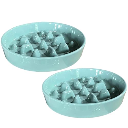 Keramik Slow Feeder Hundenapf 2er Set, Anti-Schling-Design, 2 Tassen Fassungsvermögen, 22 cm Durchmesser, Mintgrün Keramik Slow Feeder Hundenapf 2er Set, Anti-Schling-Design, 2 Tassen Fassungsvermögen, 22 cm Durchmesser, Mintgrün von AiXception