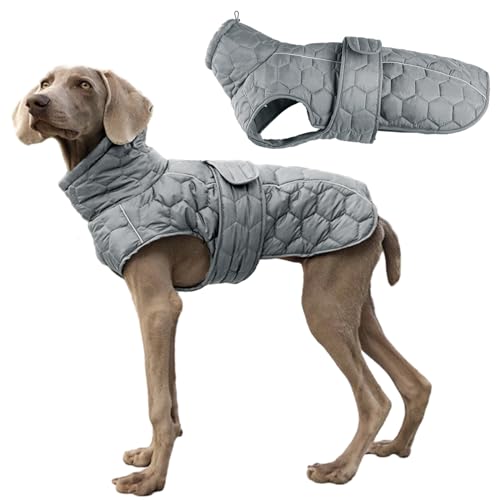 Aiboria Hundejacke Warme Hundemantel Winter Reflektierende Mittelgroße Welpen Hundepullover Fleece Winddichte Haustier Wintermantel Weste mit Gurtloch Grau M von Aiboria