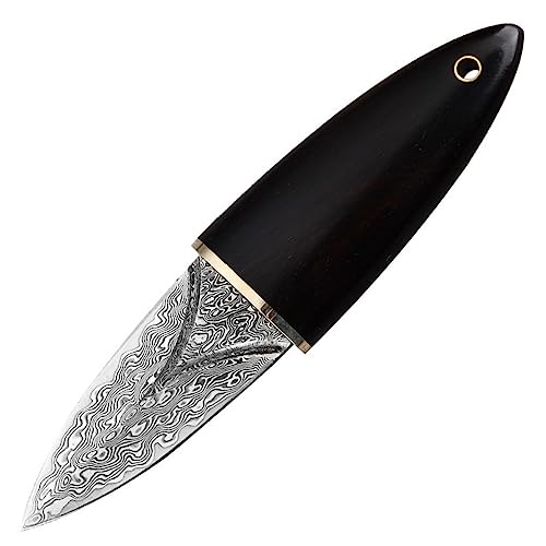 Aibote VG10 67 Lagen Damast Edelstahl Obstmesser, Küchenschälmesser,Puer Puerh Tee Messer Nadel Draußen Tragbar Mehrzweckwerkzeug mit Ebenholz Scheide von Aibote