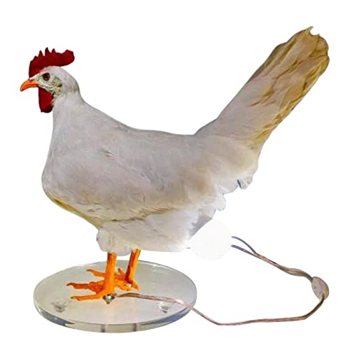 Aibyks Präparatoren Hühnerei Lampe | -Tischlampe - Realistische Harz-Hühnerei-Lichter, Oster-Eier-Lampe für Hauptschlafzimmer-Wohnzimmer-Dekor von Aibyks