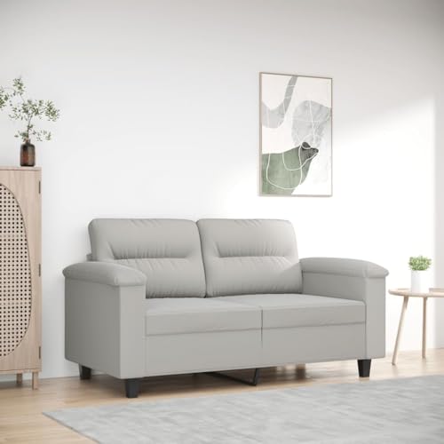 Aiious 2-Sitzer-Sofa Hellgrau 120 cm: Langlebiges Mikrofasergewebe, stabiles Metallgestell f¨¹r entspanntes Zuhause Aiious 2-Sitzer-Sofa Hellgrau 120 cm: Langlebiges Mikrofasergewebe, stabiles Metallgestell f¨¹r entspanntes Zuhause von Aiious