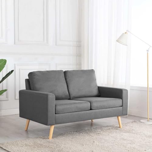 Aiious 2-Sitzer-Sofa in Hellgrau Stoff: Weich, Bequem und Stabile Holzrahmenkonstruktion Aiious 2-Sitzer-Sofa in Hellgrau Stoff: Weich, Bequem und Stabile Holzrahmenkonstruktion von Aiious