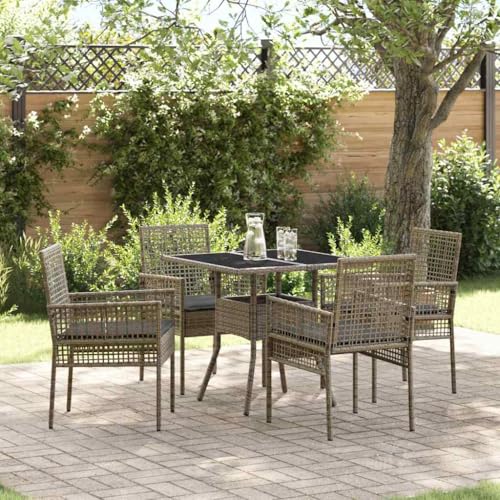 Aiious 5-teiliges Garten Essset Grau Poly Rattan - Einfach zu Pflegen und Ideal f¨¹r Terrassen von Aiious