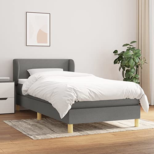 Aiious Boxspringbett mit Matratze Dunkelgrau 100x200 cm Stoff von Aiious