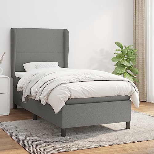 Aiious Boxspringbett mit Matratze Dunkelgrau 100x200 cm Stoff von Aiious