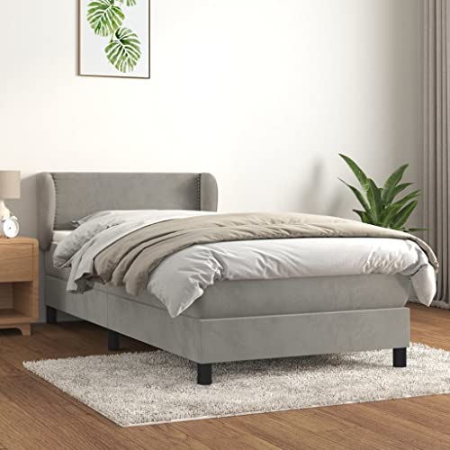 Aiious Boxspringbett mit Matratze Hellgrau 90x190 cm Samt von Aiious