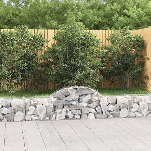 Aiious Gabionen mit Hochbogen 5 Stk. 200x30x40/60 cm Verzinktes Eisen von Aiious