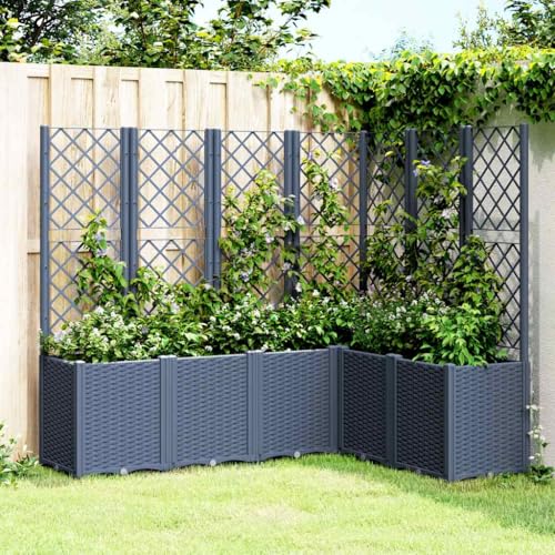 Aiious Pflanzk¨¹Bel mit Rankgitter Blaugrau 160x120x140 cm PP von Aiious