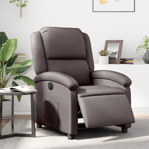 Aiious Relaxsessel Elektrisch Dunkelbraun Echtleder von Aiious