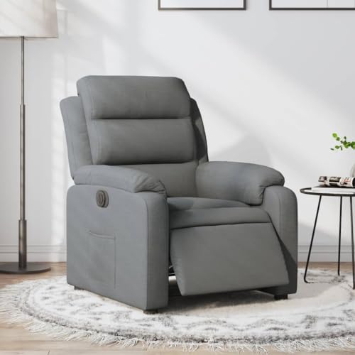 Aiious Relaxsessel Elektrisch Dunkelgrau Stoff von Aiious