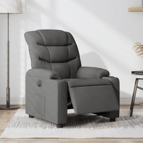 Aiious Relaxsessel Elektrisch Dunkelgrau Stoff von Aiious