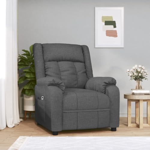 Aiious Relaxsessel Elektrisch Dunkelgrau Stoff von Aiious