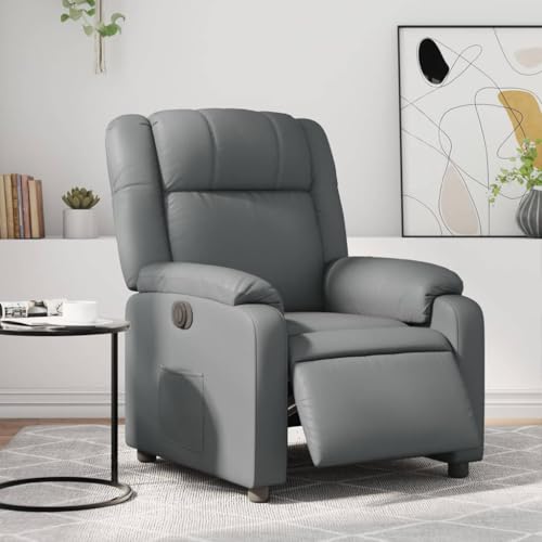 Aiious Relaxsessel Elektrisch Grau Kunstleder von Aiious