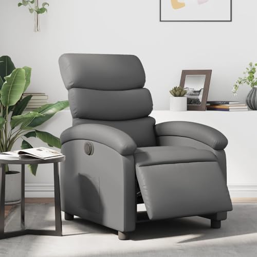 Aiious Relaxsessel Elektrisch Grau Kunstleder von Aiious