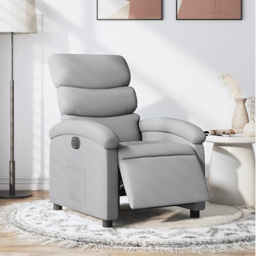 Aiious Relaxsessel Elektrisch Hellgrau Stoff von Aiious