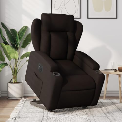 Aiious Relaxsessel mit Aufstehhilfe Elektrisch Dunkelbraun Stoff von Aiious