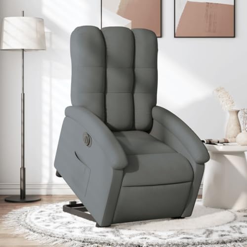 Aiious Relaxsessel mit Aufstehhilfe Elektrisch Dunkelgrau Stoff von Aiious