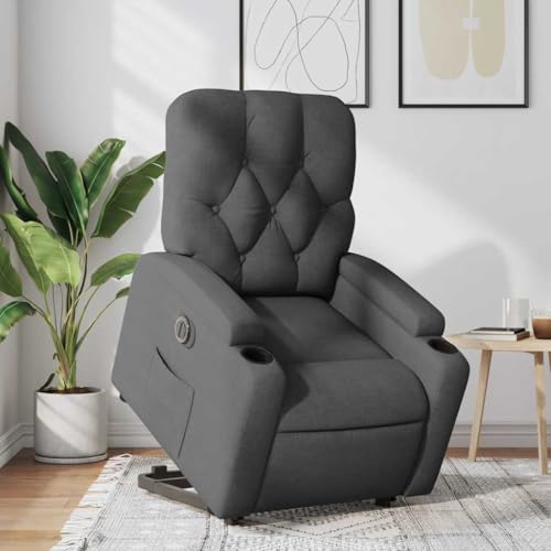 Aiious Relaxsessel mit Aufstehhilfe Elektrisch Dunkelgrau Stoff von Aiious
