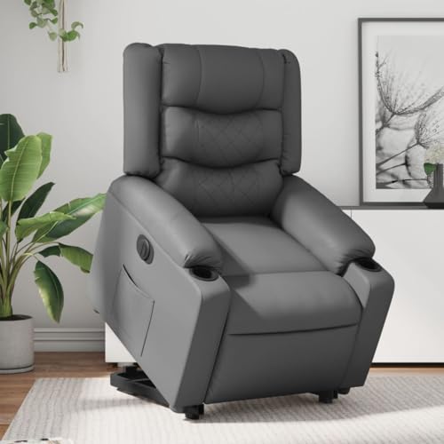 Aiious Relaxsessel mit Aufstehhilfe Elektrisch Grau Kunstleder von Aiious