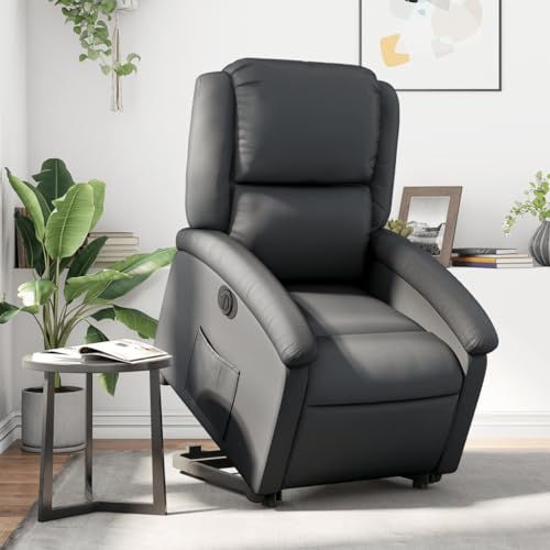 Aiious Relaxsessel mit Aufstehhilfe Elektrisch Schwarz Echtleder von Aiious