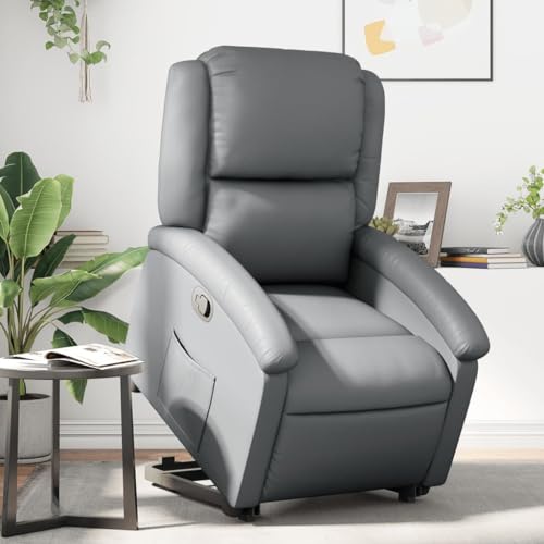 Aiious Relaxsessel mit Aufstehhilfe Grau Kunstleder von Aiious
