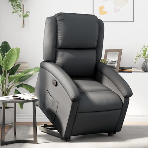 Aiious Relaxsessel mit Aufstehhilfe Schwarz Echtleder von Aiious