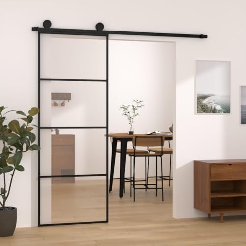 Aiious Schiebet¨¹r mit Beschlag 76x205 cm ESG-Glas & Aluminium von Aiious