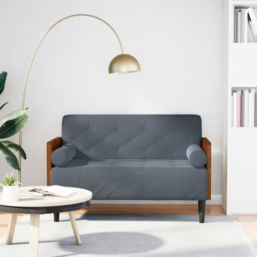 Aiious Zweisitzer-Sofa Dunkelgrau 110 cm Samt - Komfortables Entspannen beim Plaudern, Lesen oder Fernsehen Aiious Zweisitzer-Sofa Dunkelgrau 110 cm Samt - Komfortables Entspannen beim Plaudern, Lesen oder Fernsehen von Aiious