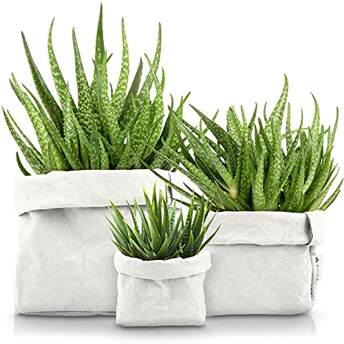 Aiire 3 Körbe Aufbewahrung ökologisches Kraftpapier - Badezimmer Deko, Bad Organizer - Küche Organizer, Vorratsschrank, Deko Wohnzimmer Modern - Flower Pot, Blumentopf Weiß von Aiire